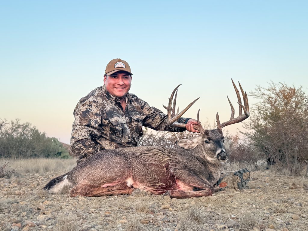 Venado 175