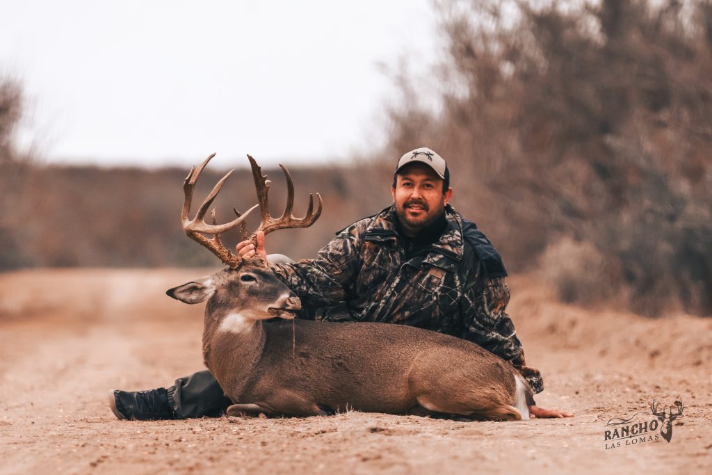 Venado 167