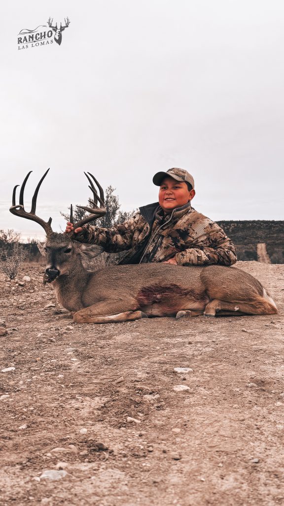 Venado 152